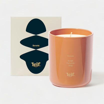 Leif Products Soy Blend Scented Wax Candles - 280g