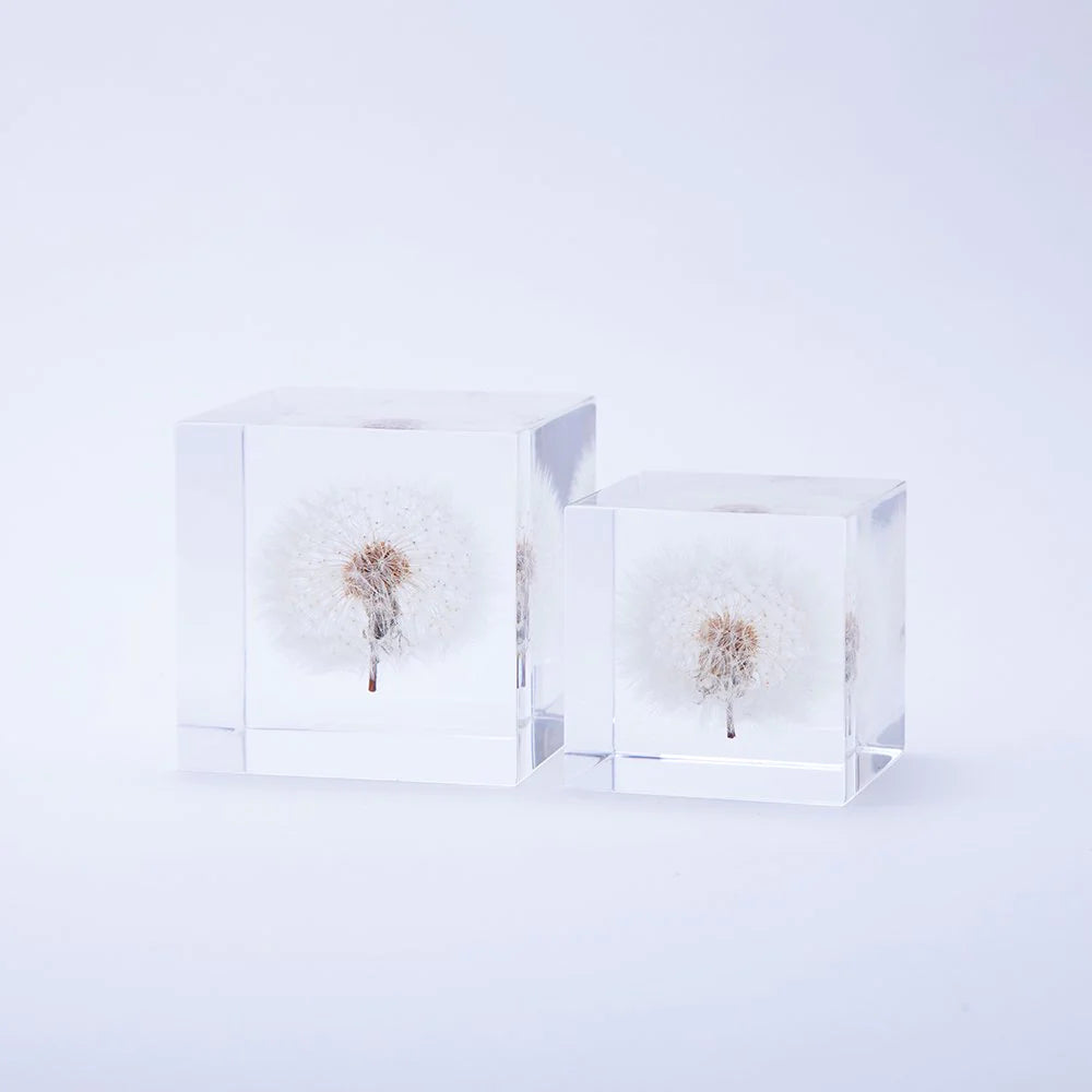 Usagi no Nedoko Japanese Dandelion Solar Cubes